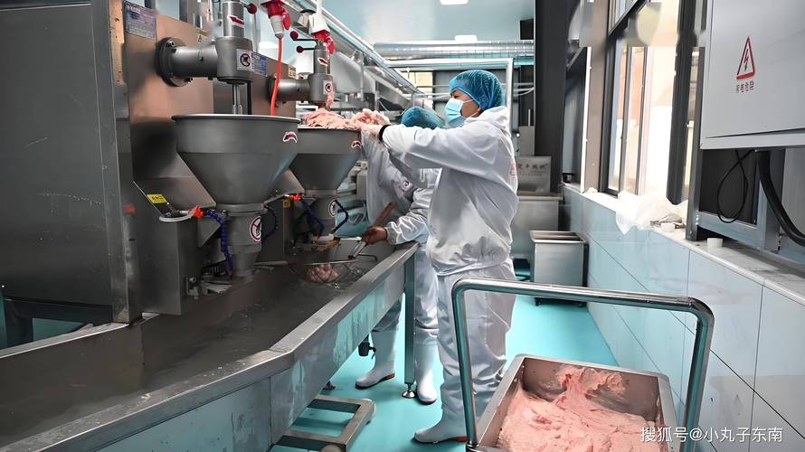 智能化肉丸加工流水线:打造高效,节能的生产模式